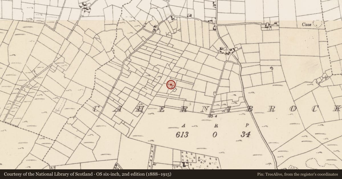 Ordnance Survey six-inch map, 2nd edition (1888–1915) covering the location of Souterrain, Cahernabrock, County Mayo, with a pin at the register's coordinates