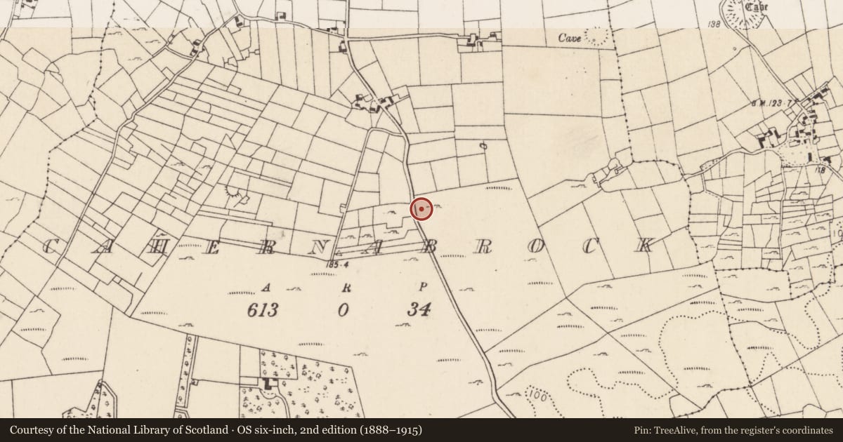 Ordnance Survey six-inch map, 2nd edition (1888–1915) covering the location of Burial ground, Cahernabrock, County Mayo, with a pin at the register's coordinates