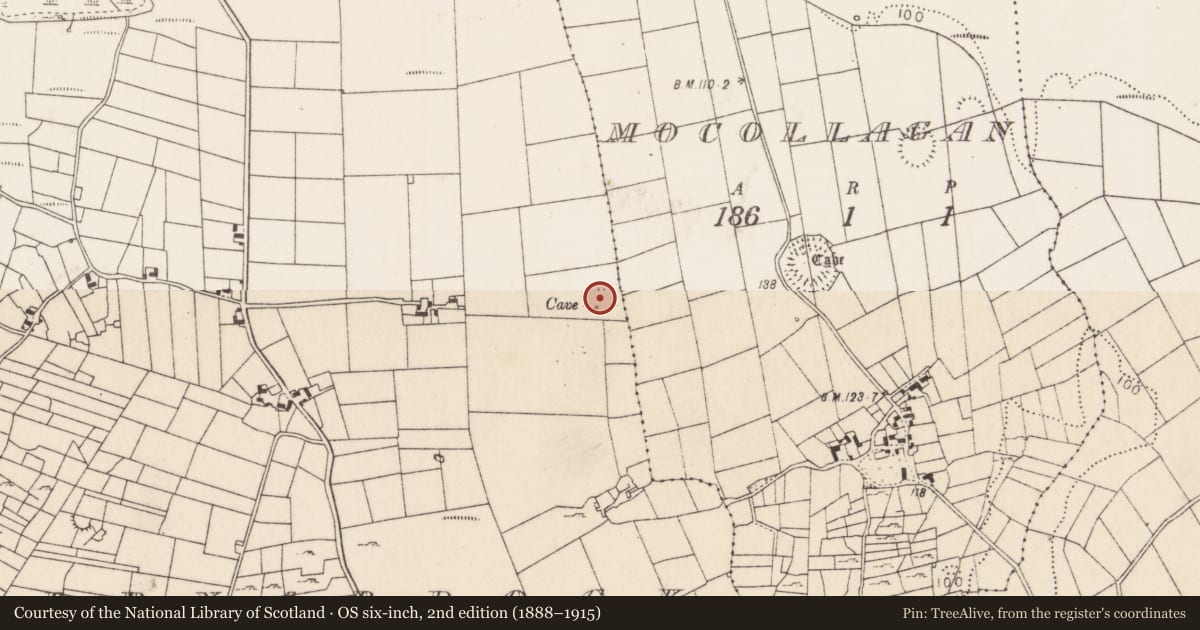 Ordnance Survey six-inch map, 2nd edition (1888–1915) covering the location of Ringfort - rath, Cahernabrock, County Mayo, with a pin at the register's coordinates
