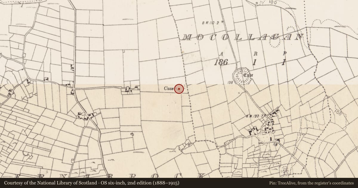 Ordnance Survey six-inch map, 2nd edition (1888–1915) covering the location of Souterrain, Cahernabrock, County Mayo, with a pin at the register's coordinates