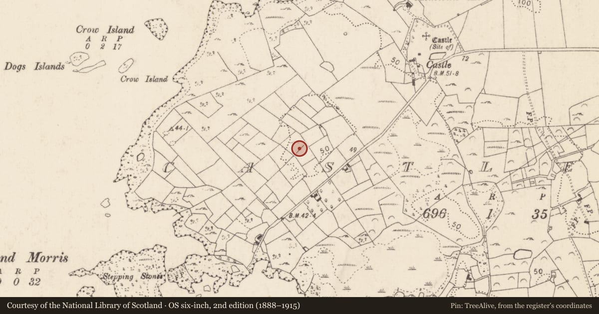 Ordnance Survey six-inch map, 2nd edition (1888–1915) covering the location of Enclosure, Castletown (Kilmaine By., Cong Par.), County Mayo, with a pin at the register's coordinates