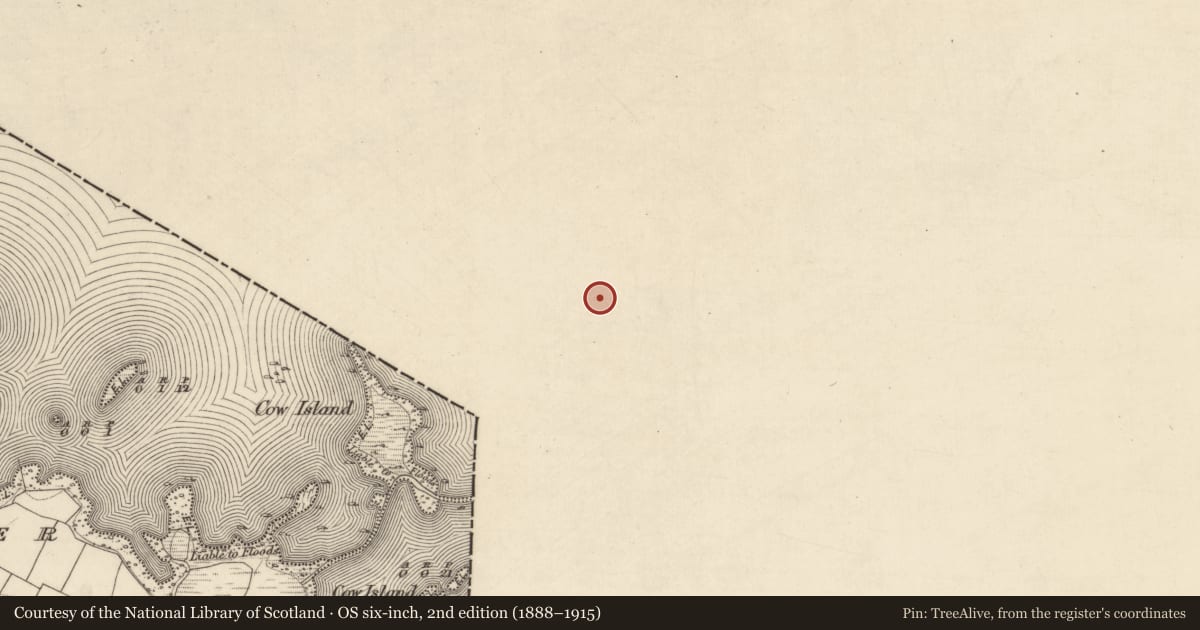 Ordnance Survey six-inch map, 2nd edition (1888–1915) covering the location of Earthwork, Castletown (Kilmaine By., Cong Par.), County Mayo, with a pin at the register's coordinates