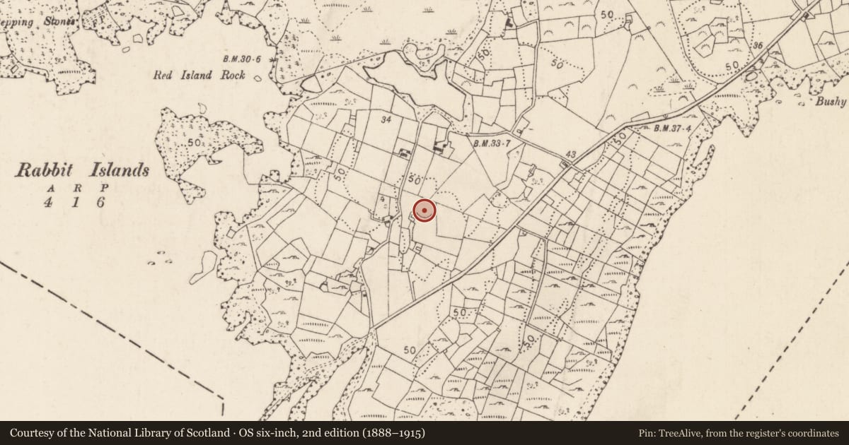 Ordnance Survey six-inch map, 2nd edition (1888–1915) covering the location of Enclosure, Castletown (Kilmaine By., Cong Par.), County Mayo, with a pin at the register's coordinates