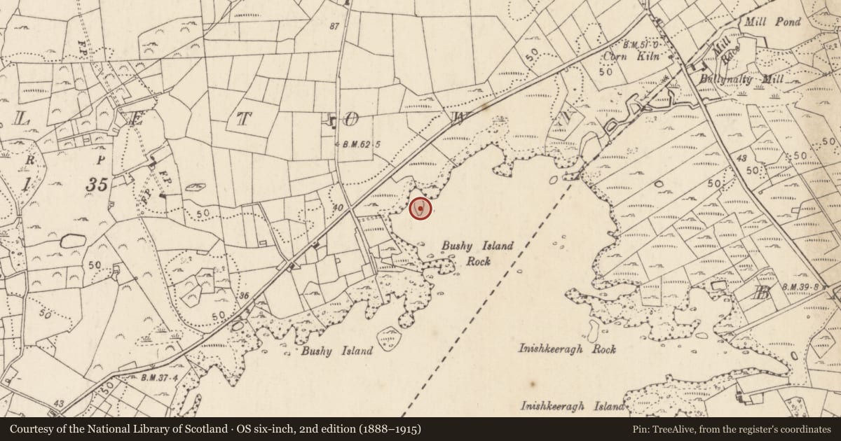 Ordnance Survey six-inch map, 2nd edition (1888–1915) covering the location of Crannog, Lough Corrib, County Mayo, with a pin at the register's coordinates