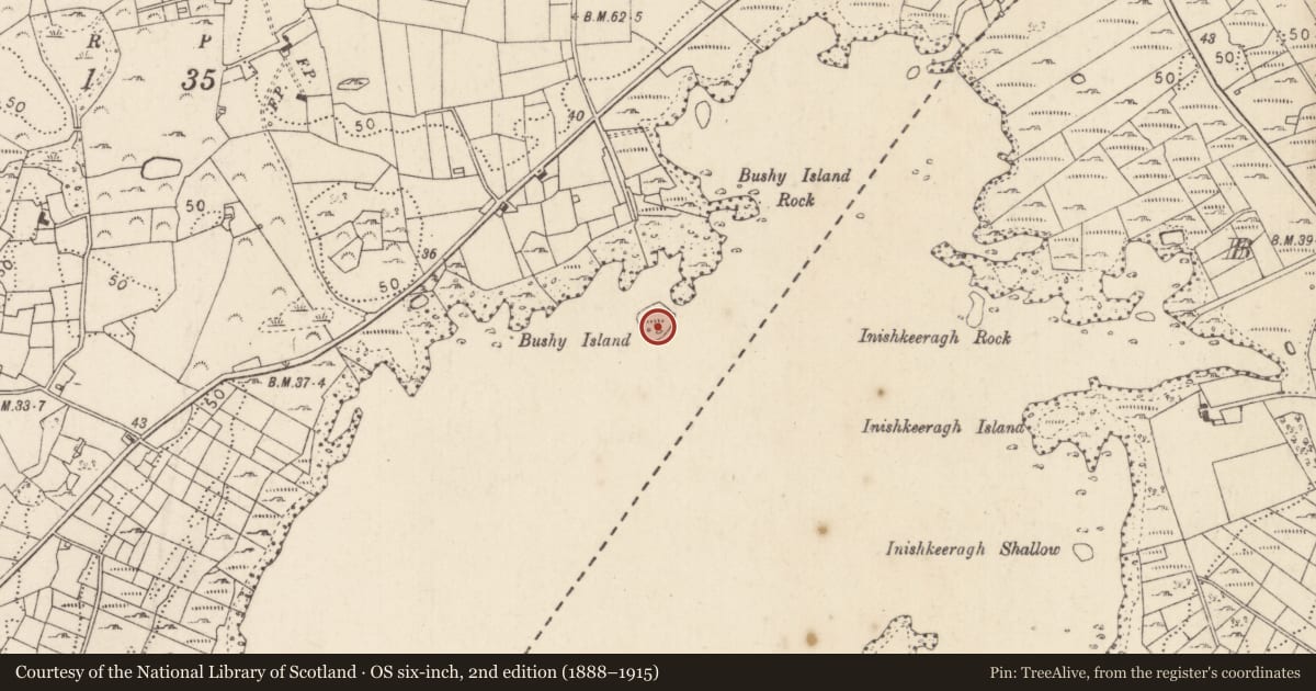 Ordnance Survey six-inch map, 2nd edition (1888–1915) covering the location of Crannog, Lough Corrib, County Mayo, with a pin at the register's coordinates