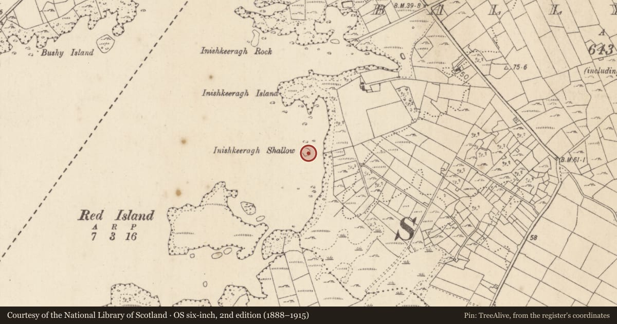 Ordnance Survey six-inch map, 2nd edition (1888–1915) covering the location of Crannog, Lough Corrib, County Mayo, with a pin at the register's coordinates