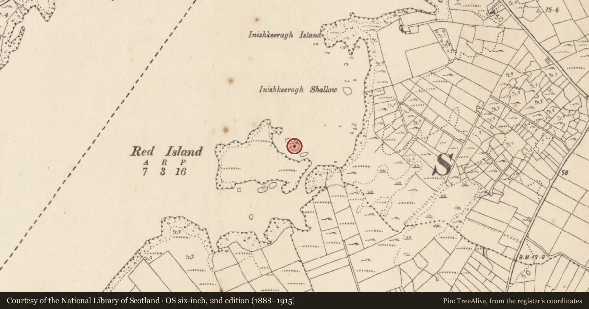 Ordnance Survey six-inch map, 2nd edition (1888–1915) covering the location of Crannog, Lough Corrib, County Mayo, with a pin at the register's coordinates