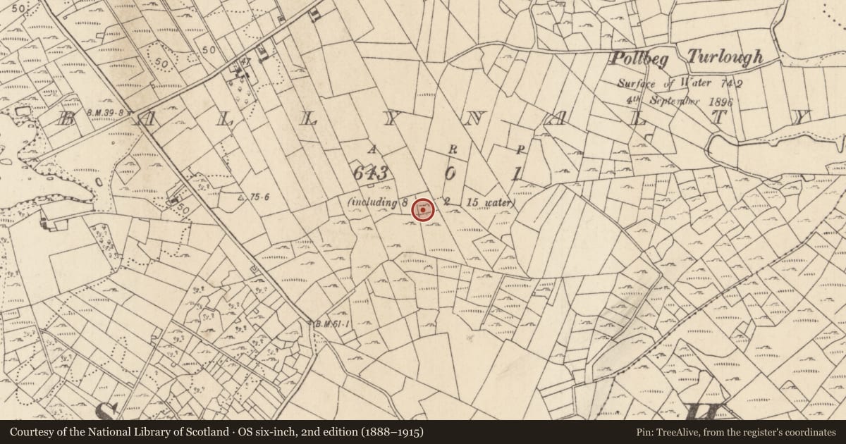 Ordnance Survey six-inch map, 2nd edition (1888–1915) covering the location of Enclosure, Ballynalty, County Mayo, with a pin at the register's coordinates