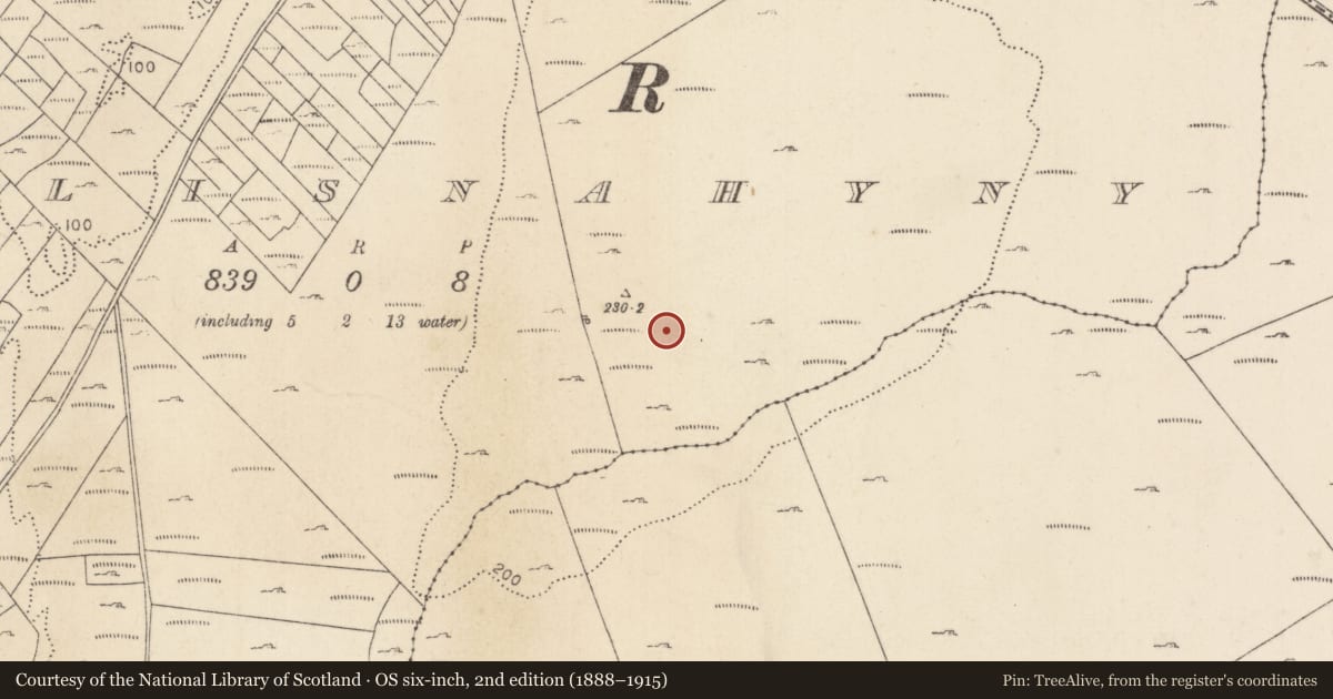 Ordnance Survey six-inch map, 2nd edition (1888–1915) covering the location of Enclosure, Ballisnahyny (Kilmaine By., Kilmainebeg Par.), County Mayo, with a pin at the register's coordinates