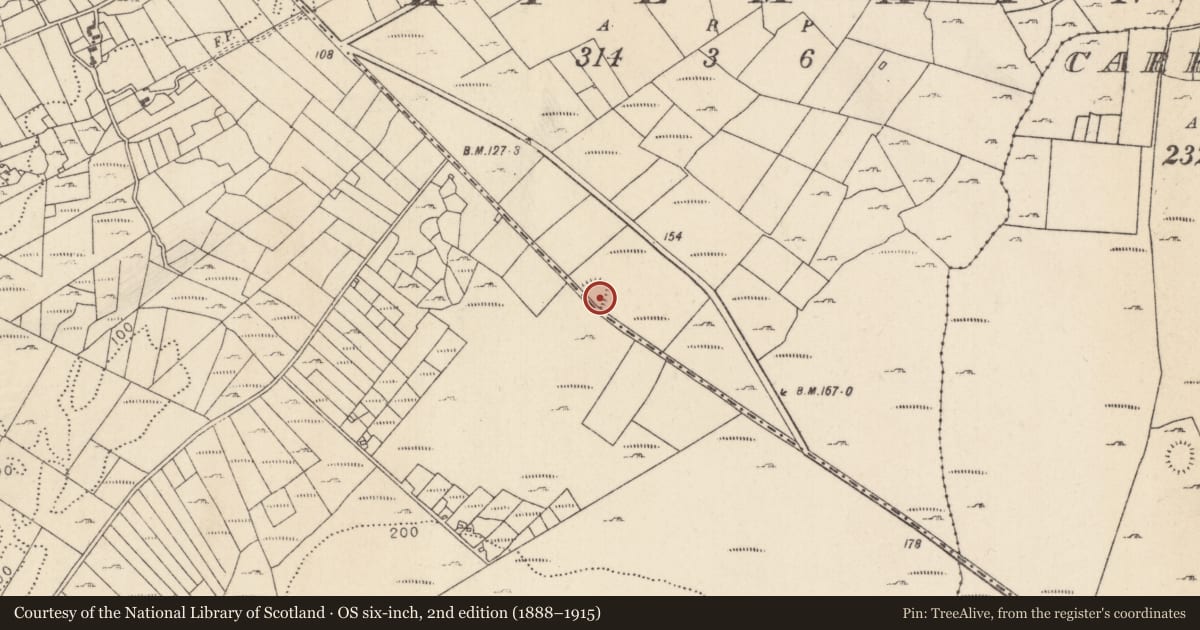 Ordnance Survey six-inch map, 2nd edition (1888–1915) covering the location of Enclosure, Ballisnahyny (Kilmaine By., Kilmainebeg Par.), County Mayo, with a pin at the register's coordinates