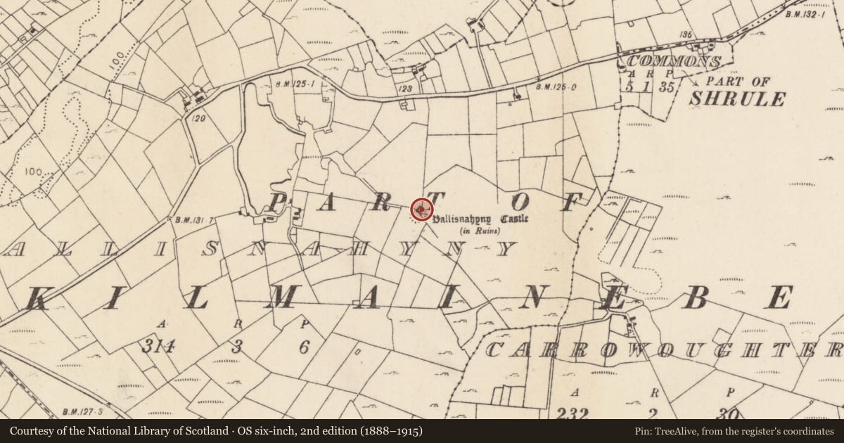 Ordnance Survey six-inch map, 2nd edition (1888–1915) covering the location of Castle - unclassified, Ballisnahyny (Kilmaine By., Kilmainebeg Par.), County Mayo, with a pin at the register's coordinates
