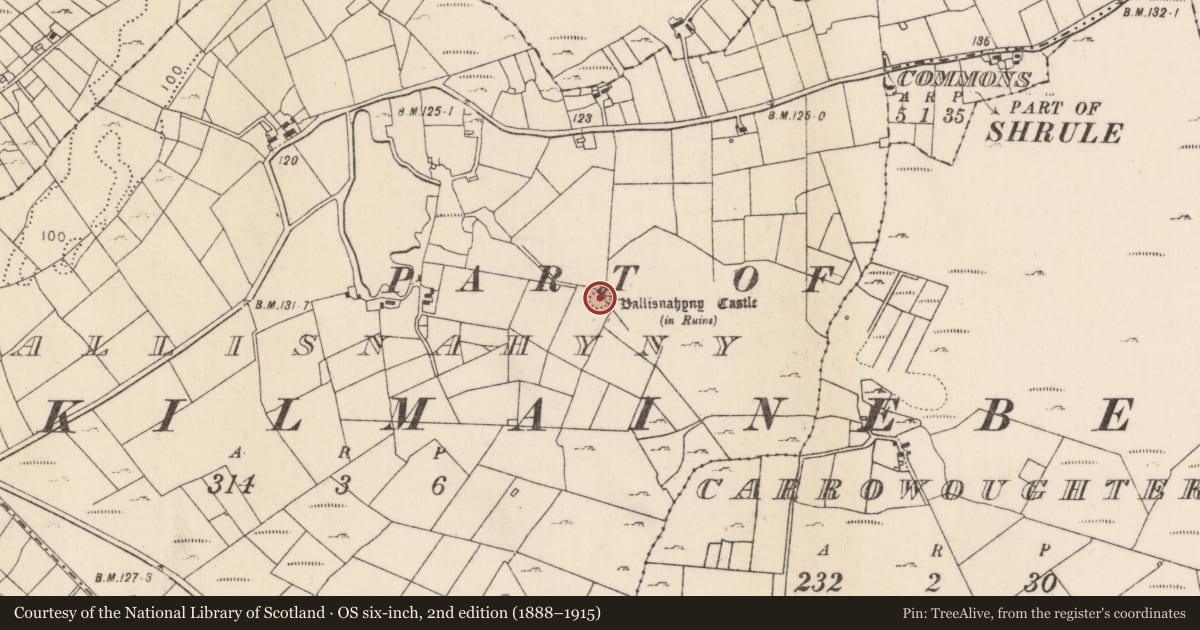 Ordnance Survey six-inch map, 2nd edition (1888–1915) covering the location of Ringfort - cashel, Ballisnahyny (Kilmaine By., Kilmainebeg Par.), County Mayo, with a pin at the register's coordinates