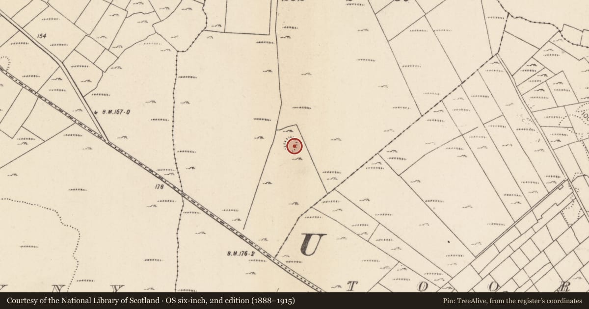 Ordnance Survey six-inch map, 2nd edition (1888–1915) covering the location of Ringfort - cashel, Carrowoughteragh, County Mayo, with a pin at the register's coordinates