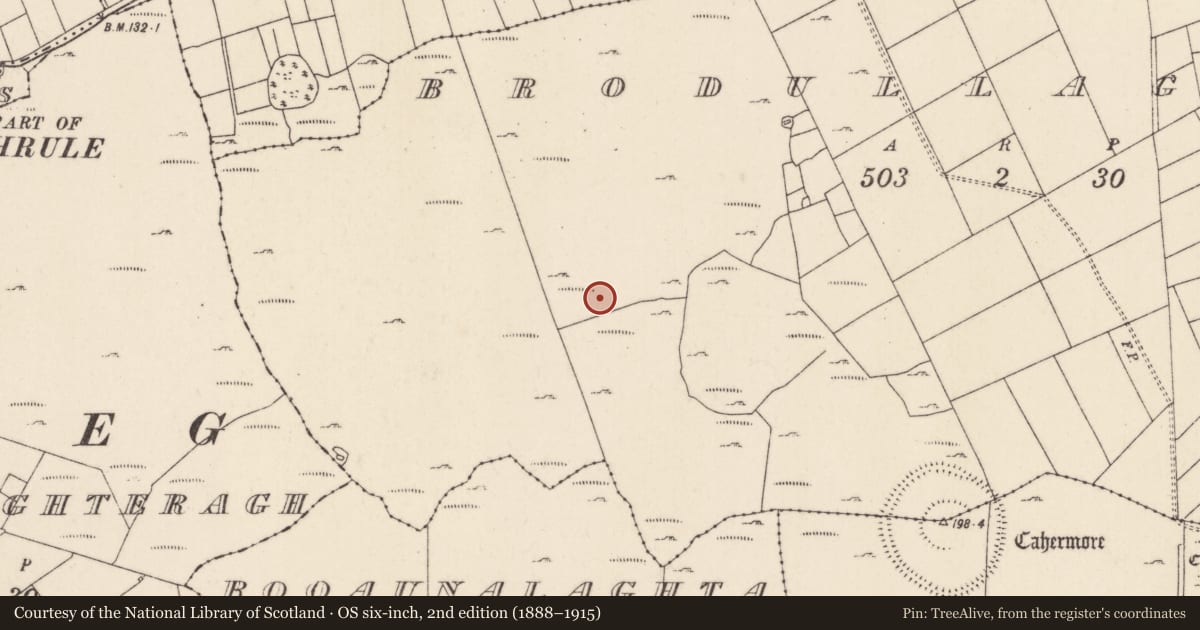 Ordnance Survey six-inch map, 2nd edition (1888–1915) covering the location of Field system, Brodullagh South, County Mayo, with a pin at the register's coordinates