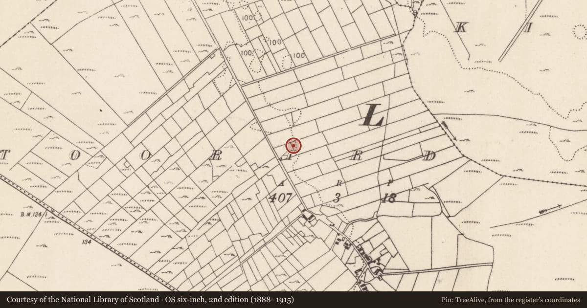 Ordnance Survey six-inch map, 2nd edition (1888–1915) covering the location of Enclosure, Toorard, County Mayo, with a pin at the register's coordinates