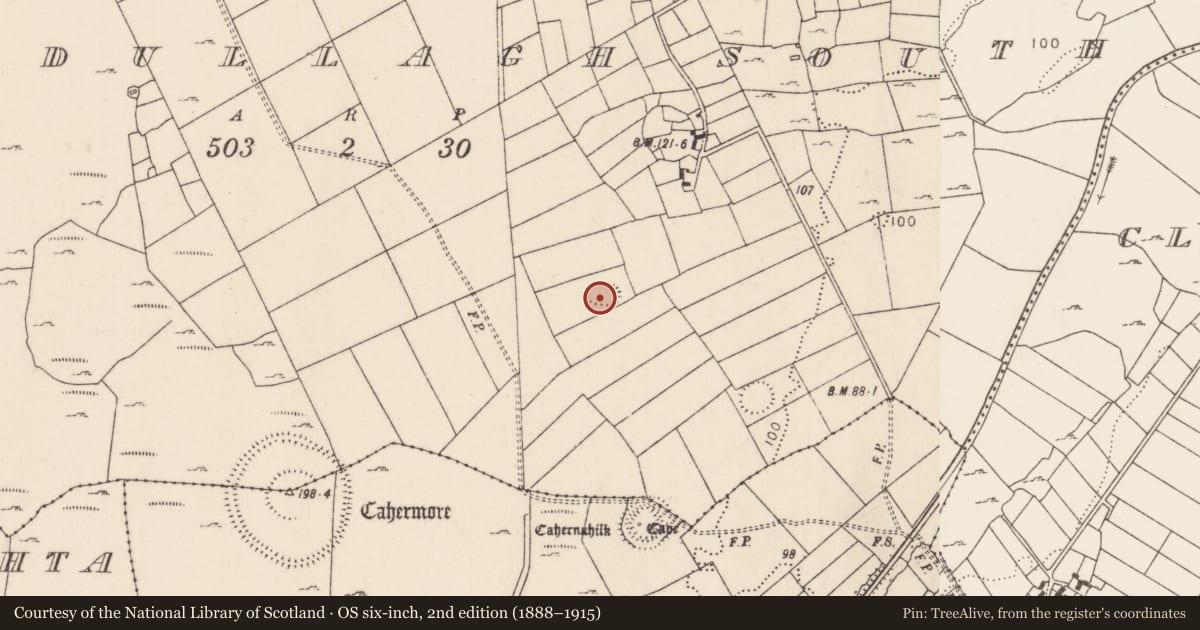 Ordnance Survey six-inch map, 2nd edition (1888–1915) covering the location of Ringfort - cashel, Brodullagh South, County Mayo, with a pin at the register's coordinates