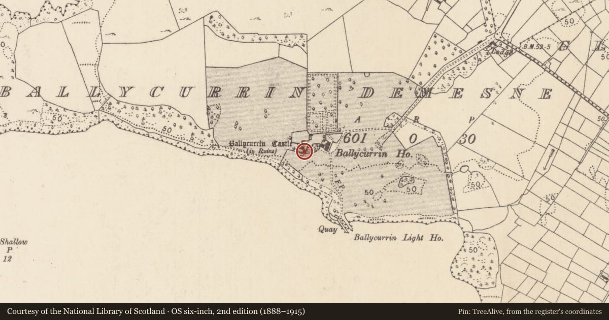 Ordnance Survey six-inch map, 2nd edition (1888–1915) covering the location of Castle - hall-house, Ballycurrin Demesne, County Mayo, with a pin at the register's coordinates