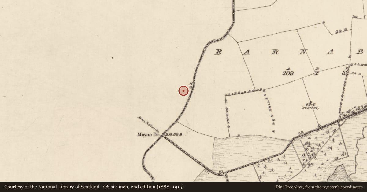 Ordnance Survey six-inch map, 2nd edition (1888–1915) covering the location of Castle - unclassified, Moyne, County Mayo, with a pin at the register's coordinates