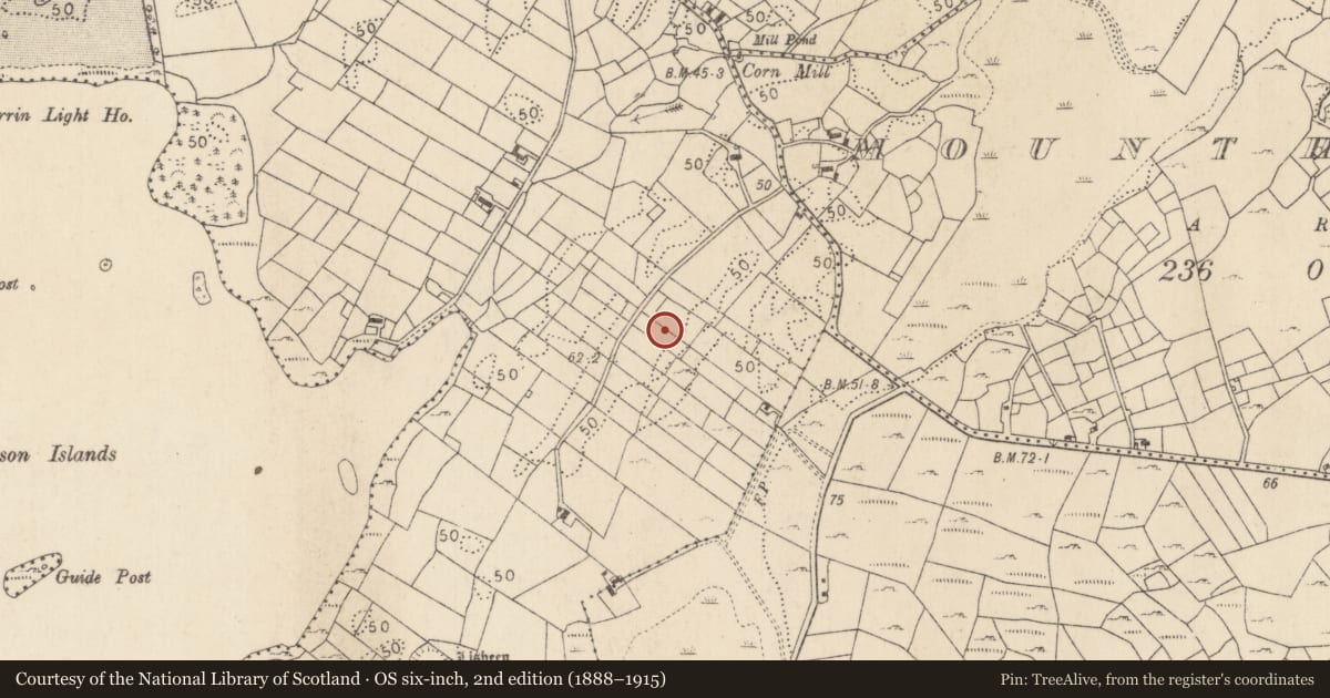 Ordnance Survey six-inch map, 2nd edition (1888–1915) covering the location of Enclosure, Ballycurrin Demesne, County Mayo, with a pin at the register's coordinates