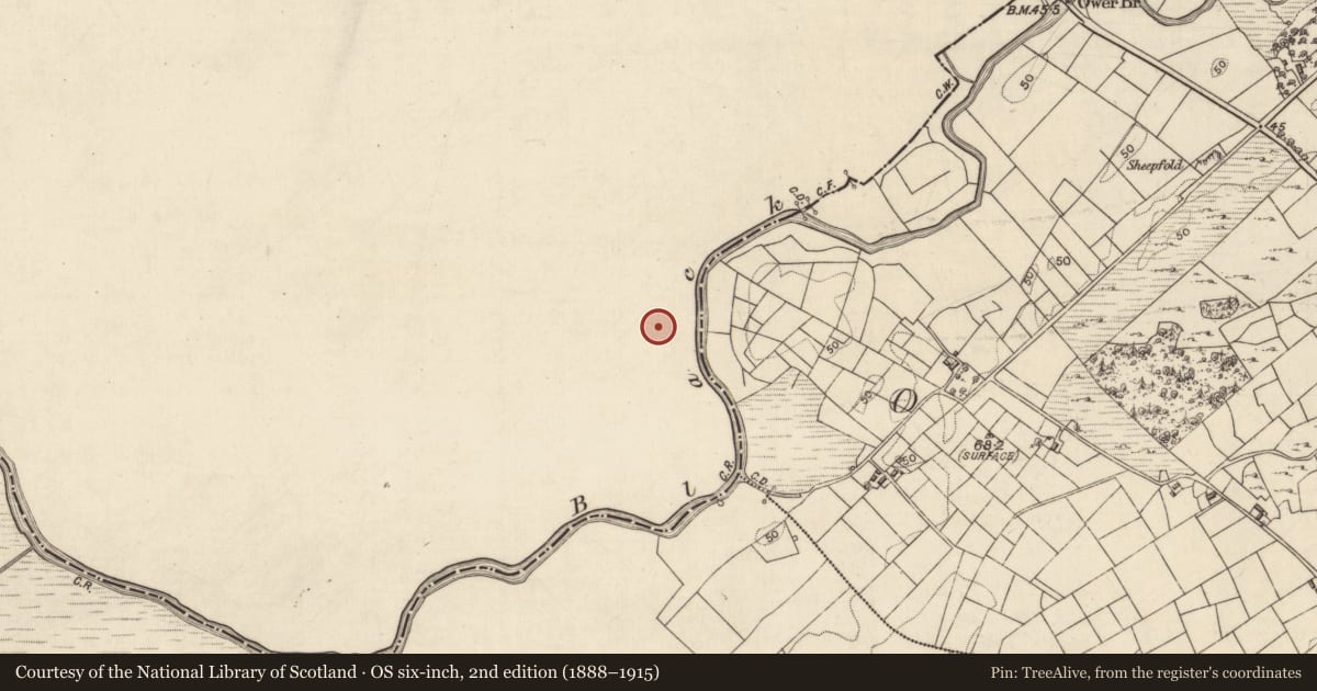 Ordnance Survey six-inch map, 2nd edition (1888–1915) covering the location of Mound, Gortbrack, County Mayo, with a pin at the register's coordinates