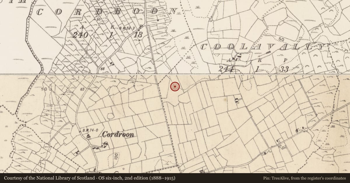 Ordnance Survey six-inch map, 2nd edition (1888–1915) covering the location of Burnt mound, Coolavally, County Mayo, with a pin at the register's coordinates