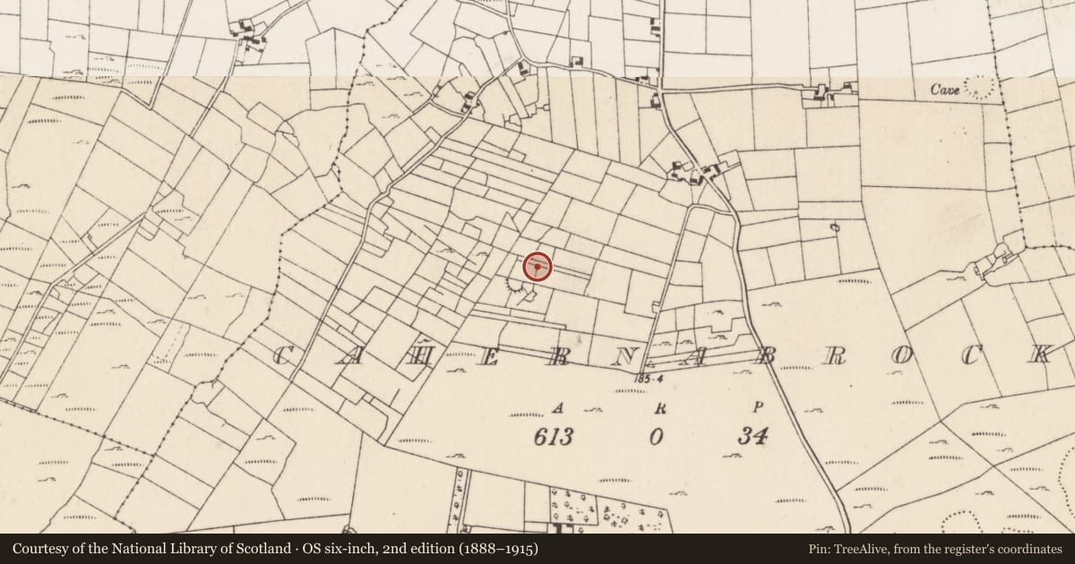 Ordnance Survey six-inch map, 2nd edition (1888–1915) covering the location of Structure, Cahernabrock, County Mayo, with a pin at the register's coordinates