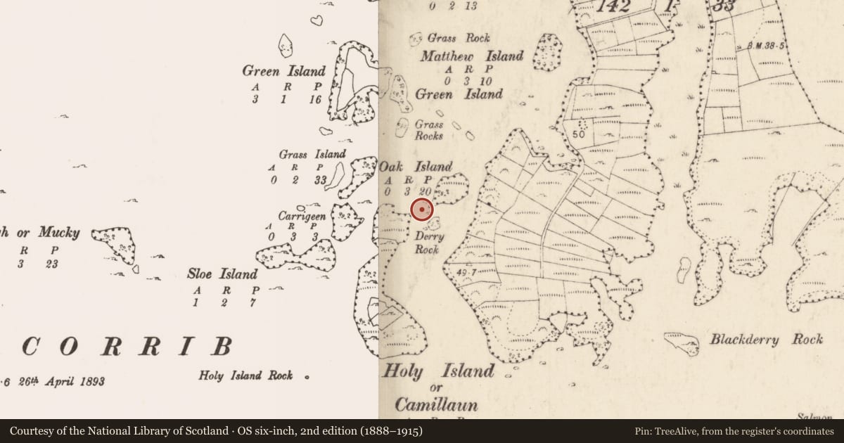 Ordnance Survey six-inch map, 2nd edition (1888–1915) covering the location of Causeway, Lough Corrib, County Mayo, with a pin at the register's coordinates
