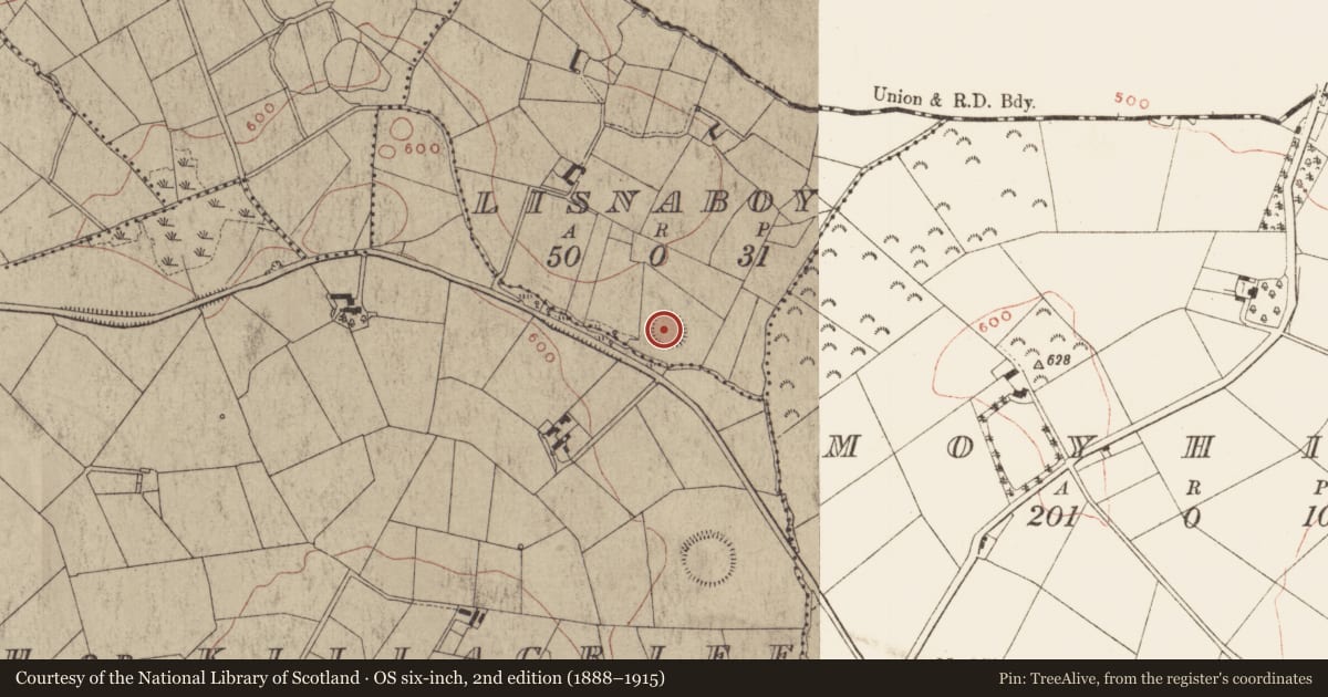 Ordnance Survey six-inch map, 2nd edition (1888–1915) covering the location of Ringfort - rath, Lisnaboy, County Meath, with a pin at the register's coordinates