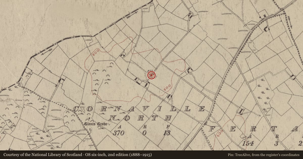 Ordnance Survey six-inch map, 2nd edition (1888–1915) covering the location of Ringfort - rath, Cornaville North, County Meath, with a pin at the register's coordinates