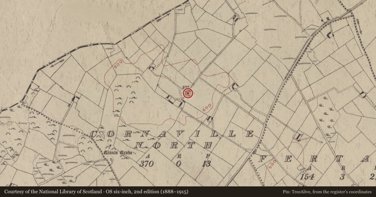 Ordnance Survey six-inch map, 2nd edition (1888–1915) covering the location of Hut site, Cornaville North, County Meath, with a pin at the register's coordinates