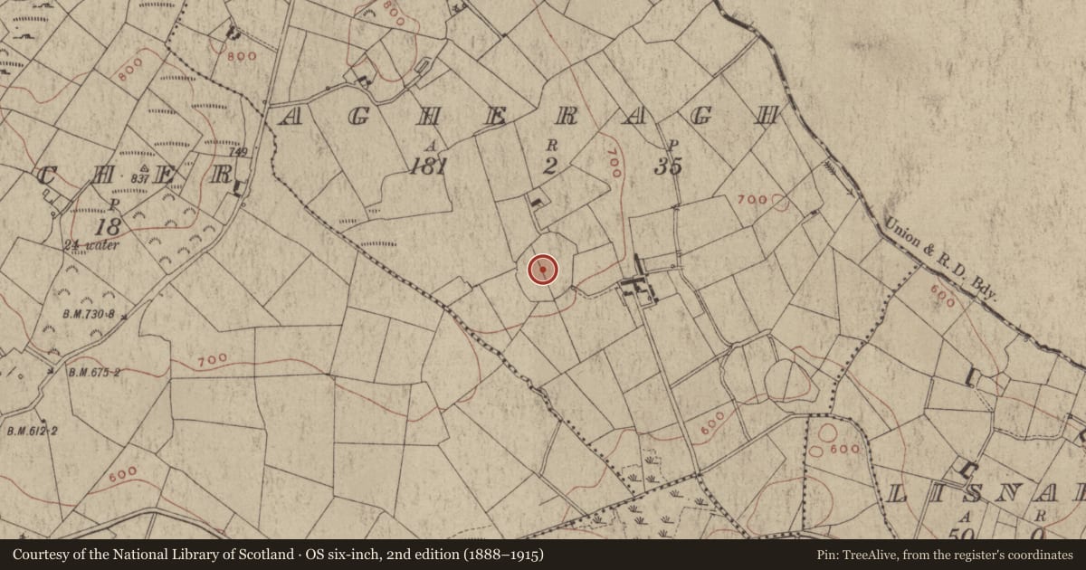 Ordnance Survey six-inch map, 2nd edition (1888–1915) covering the location of Concentric enclosure, Agheragh, County Meath, with a pin at the register's coordinates