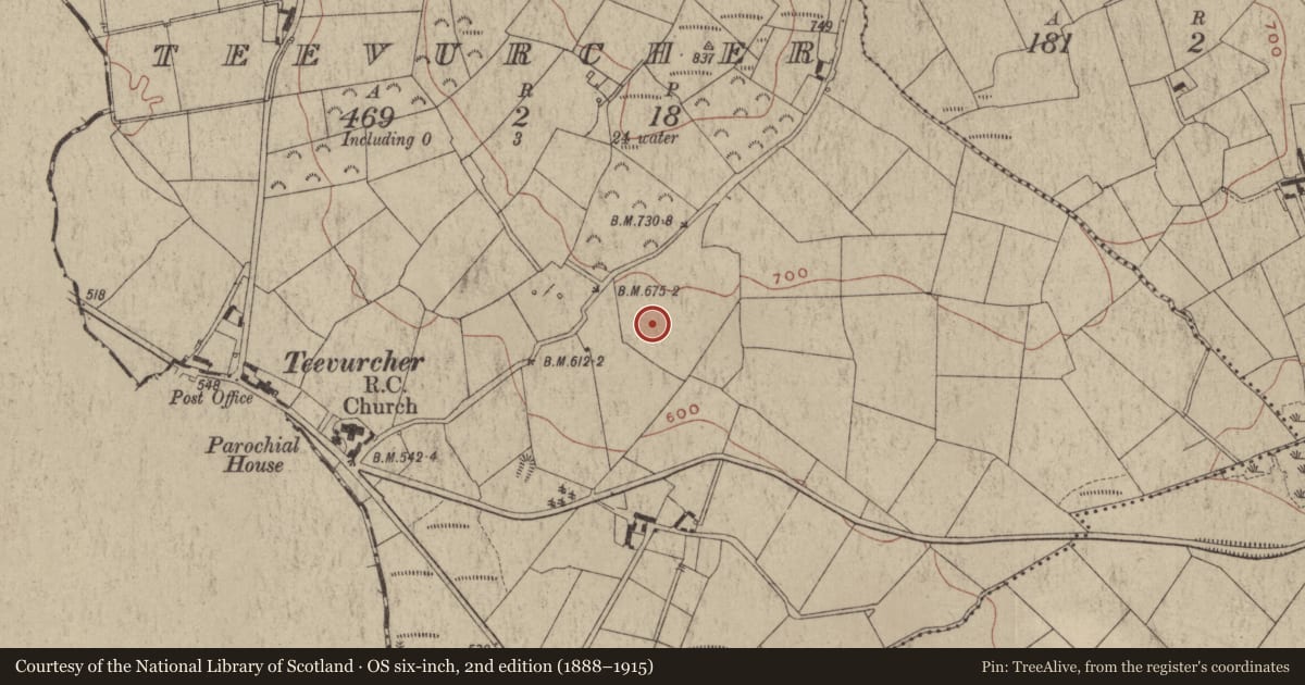 Ordnance Survey six-inch map, 2nd edition (1888–1915) covering the location of Ringfort - rath, Teevurcher, County Meath, with a pin at the register's coordinates