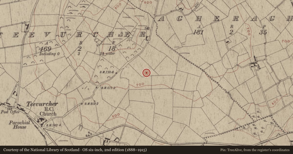Ordnance Survey six-inch map, 2nd edition (1888–1915) covering the location of Excavation - miscellaneous, Teevurcher, County Meath, with a pin at the register's coordinates