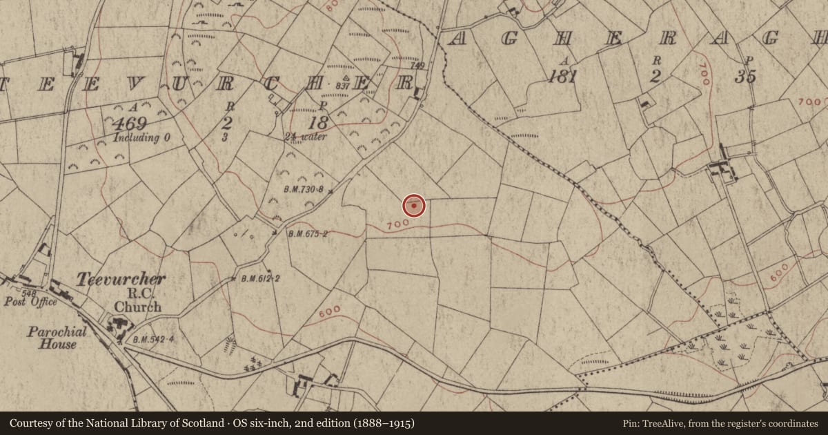 Ordnance Survey six-inch map, 2nd edition (1888–1915) covering the location of Excavation - miscellaneous, Teevurcher, County Meath, with a pin at the register's coordinates