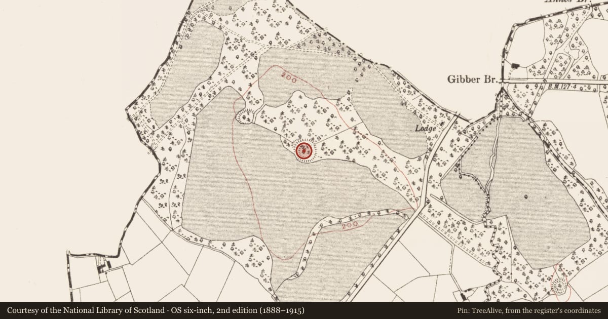 Ordnance Survey six-inch map, 2nd edition (1888–1915) covering the location of Ringfort - rath, Drumgill, County Meath, with a pin at the register's coordinates