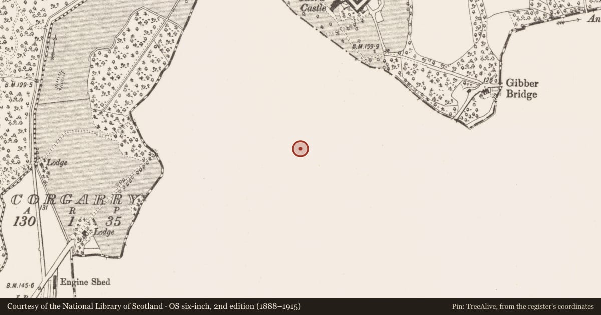 Ordnance Survey six-inch map, 2nd edition (1888–1915) covering the location of Souterrain, Drumgill, County Meath, with a pin at the register's coordinates