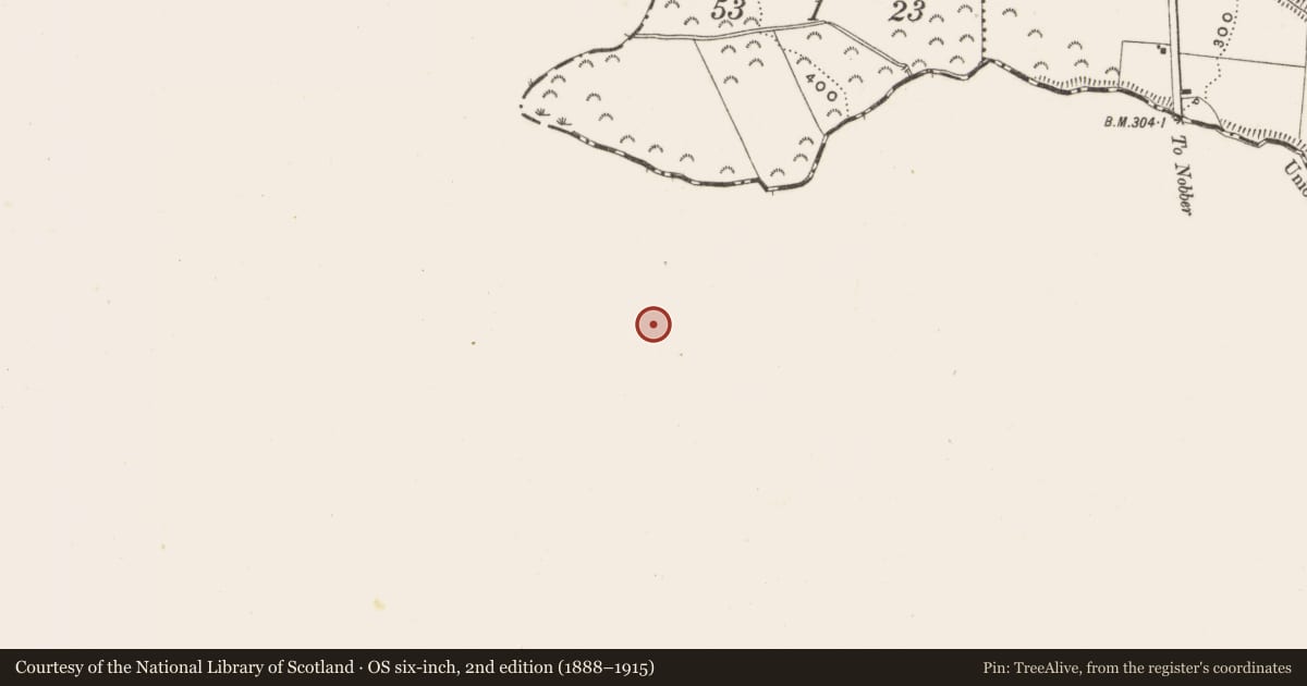 Ordnance Survey six-inch map, 2nd edition (1888–1915) covering the location of Ringfort - rath, Boynaghbought, County Meath, with a pin at the register's coordinates