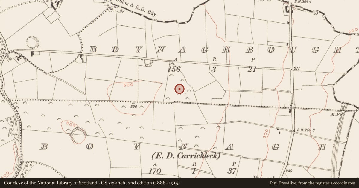 Ordnance Survey six-inch map, 2nd edition (1888–1915) covering the location of Ringfort - rath, Boynaghbought, County Meath, with a pin at the register's coordinates