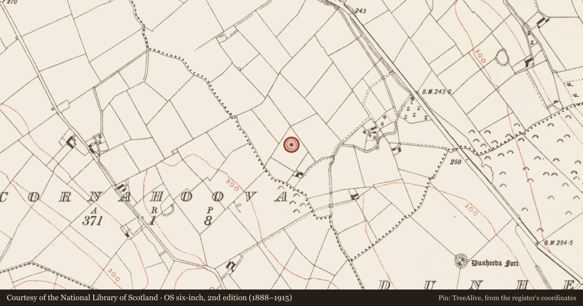 Ordnance Survey six-inch map, 2nd edition (1888–1915) covering the location of Ringfort - rath, Corratober, County Meath, with a pin at the register's coordinates