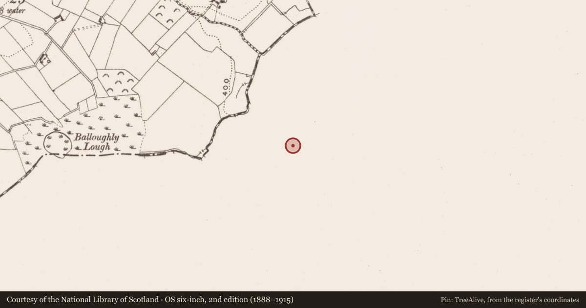 Ordnance Survey six-inch map, 2nd edition (1888–1915) covering the location of Ringfort - rath, Tullyweel, County Meath, with a pin at the register's coordinates