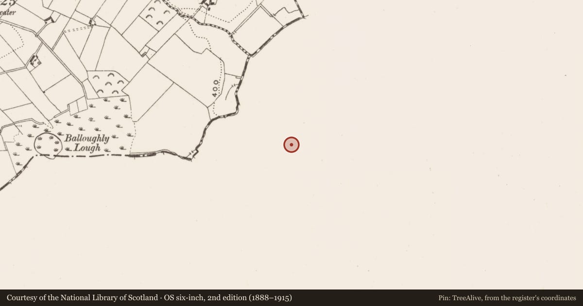 Ordnance Survey six-inch map, 2nd edition (1888–1915) covering the location of Ringfort - rath, Tullyweel, County Meath, with a pin at the register's coordinates