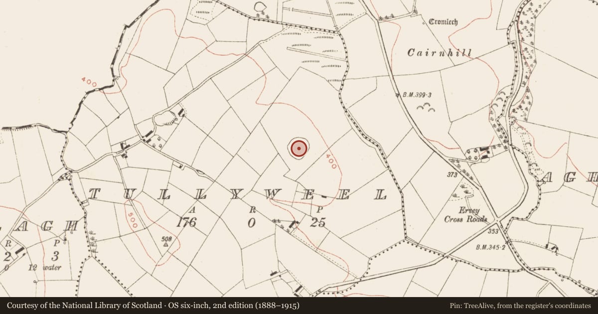 Ordnance Survey six-inch map, 2nd edition (1888–1915) covering the location of Enclosure, Tullyweel, County Meath, with a pin at the register's coordinates