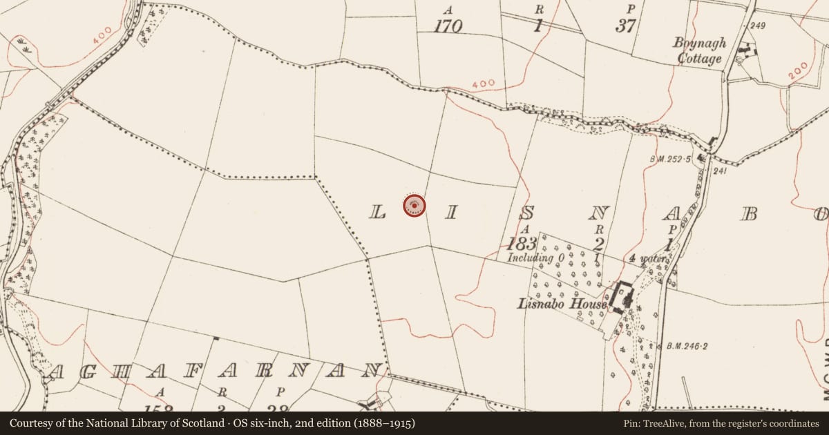 Ordnance Survey six-inch map, 2nd edition (1888–1915) covering the location of Ringfort - rath, Lisnabo, County Meath, with a pin at the register's coordinates