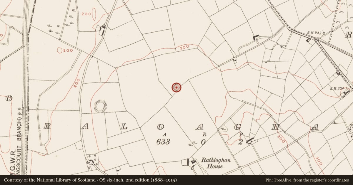 Ordnance Survey six-inch map, 2nd edition (1888–1915) covering the location of Ringfort - rath, Raloaghan, County Meath, with a pin at the register's coordinates