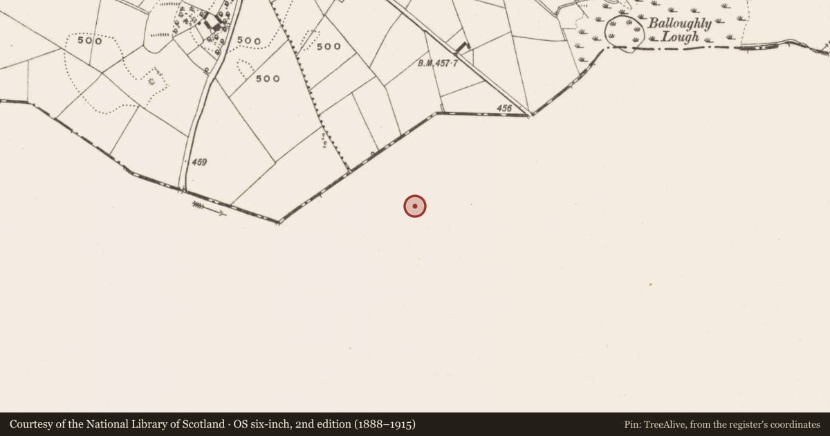 Ordnance Survey six-inch map, 2nd edition (1888–1915) covering the location of Ringfort - rath, Boherlea, County Meath, with a pin at the register's coordinates