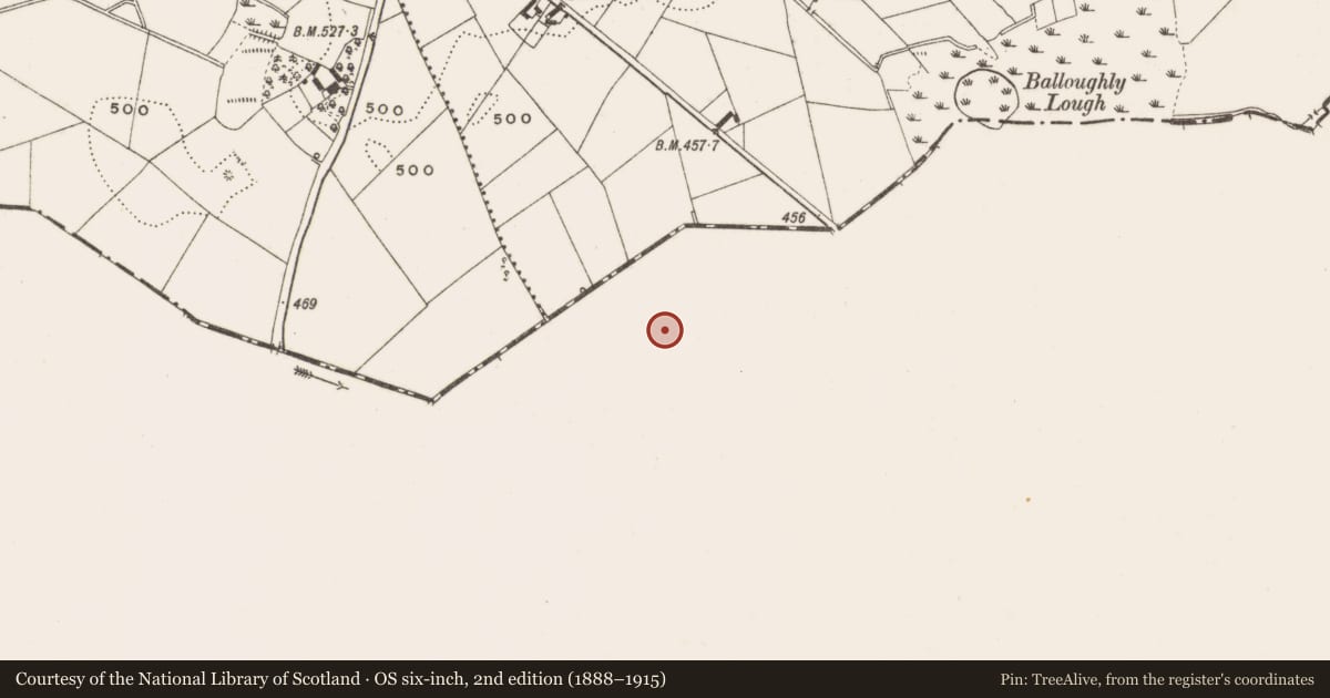 Ordnance Survey six-inch map, 2nd edition (1888–1915) covering the location of Standing stone, Boherlea, County Meath, with a pin at the register's coordinates