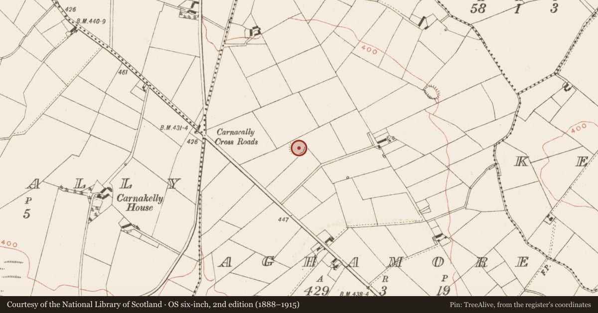Ordnance Survey six-inch map, 2nd edition (1888–1915) covering the location of Ringfort - rath, Aghamore, County Meath, with a pin at the register's coordinates
