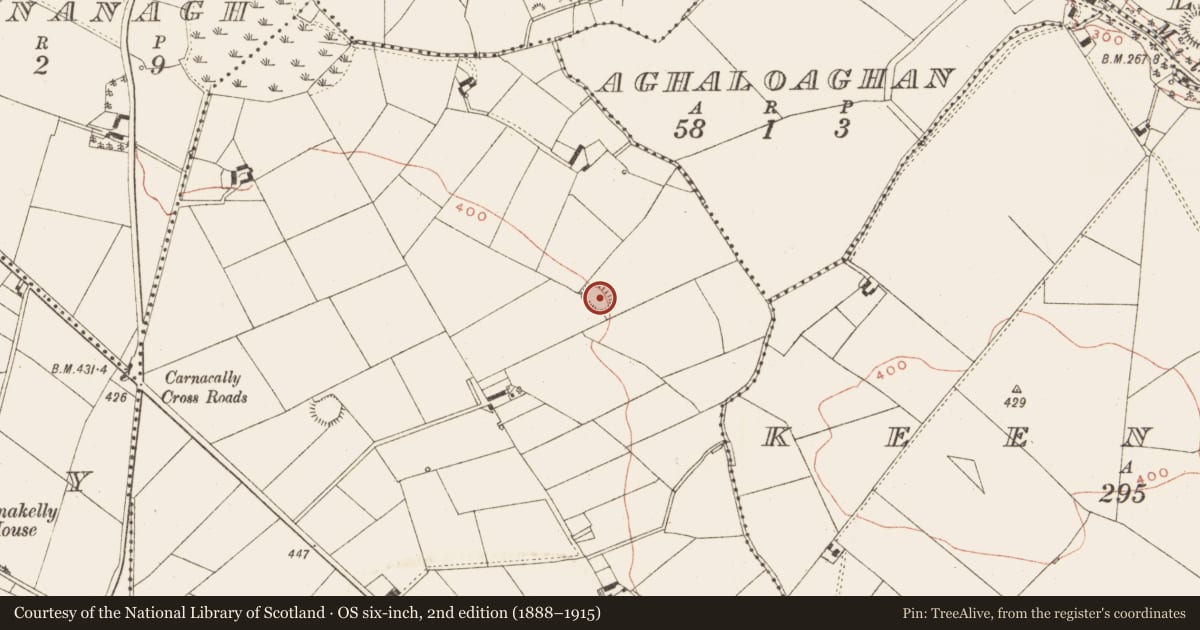 Ordnance Survey six-inch map, 2nd edition (1888–1915) covering the location of Ringfort - rath, Aghamore, County Meath, with a pin at the register's coordinates