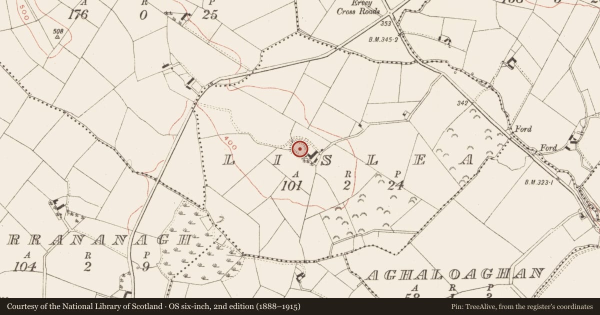 Ordnance Survey six-inch map, 2nd edition (1888–1915) covering the location of Ringfort - rath, Lislea, County Meath, with a pin at the register's coordinates
