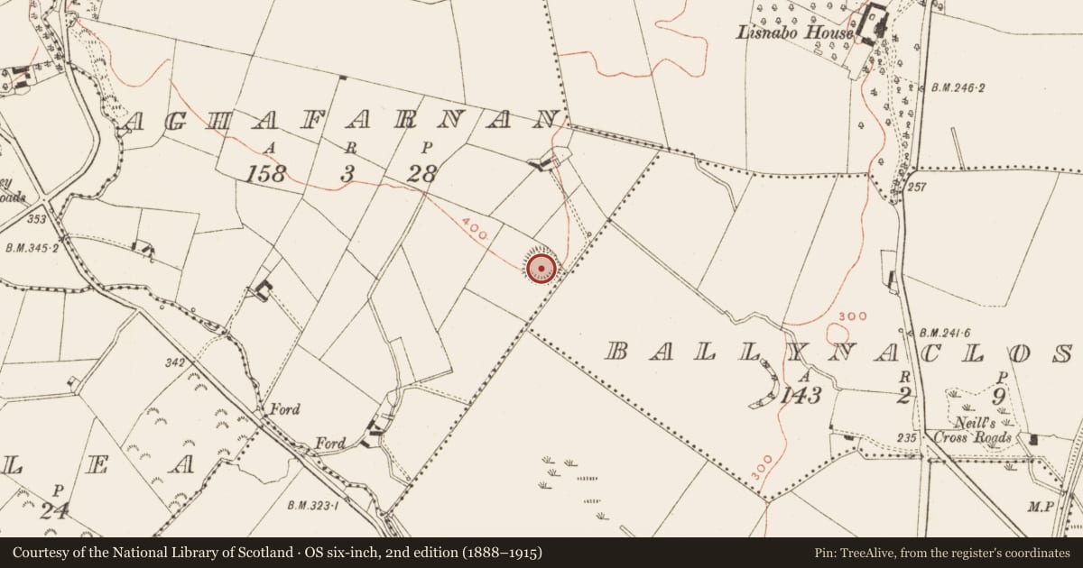 Ordnance Survey six-inch map, 2nd edition (1888–1915) covering the location of Ringfort - rath, Aghafarnan, County Meath, with a pin at the register's coordinates